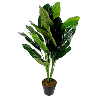 Philodendron Plant 92cm 