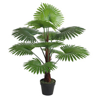 Fan Palm 100cm