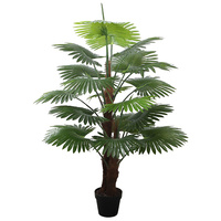 Fan Palm 120cm