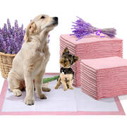 200 Pcs 60x60 cm Pet Puppy Toilet Training Pads Absorbent Lavender Scent