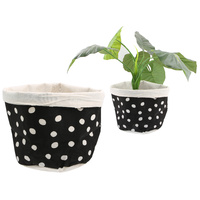 White Polka Medium Storage Basket 25 x 25cm