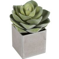 Conca Cement Succulent Pot 21cm