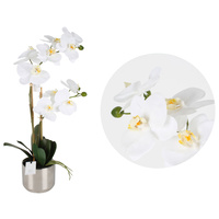 Oola Real Touch Orchid Metallic Silver Pot 51cm