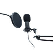 Usb Mic Kit Usb Microphone Shock Mount Boom Arm Pop Filter