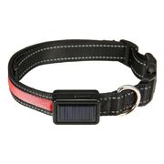 Solar Usb Rechargable Led Dog Collar (M Red)