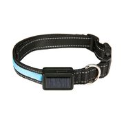 Solar Usb Rechargable Led Dog Collar (M Blue)