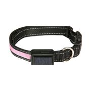 Solar Usb Rechargable Led Dog Collar (M Pink)