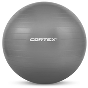 Fitness Ball 55cm in Grey