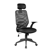 Ergonomic Mesh Office Chair