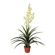 Artificial Yucca Gloriosa 120cm