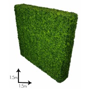 Large Portable Boxwood Hedges Uv Stabilised 1.5M By 1.5M