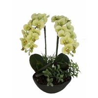 White Phalaenopsis Orchid Floral Arrangement And Pot 45cm Real Touch