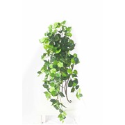 Variegated Hanging Foliage Bush 100cm