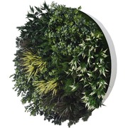 UV Green Field Green Wall Disc (White) 100cm