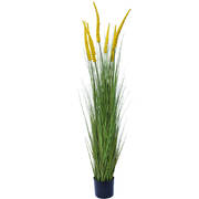 Spear Grass Plant 180cm