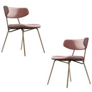 Modern Blush Dining Chair with Gold Legs Set of 2