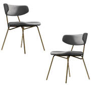 Modern Dining Chair with Gold Legs Set of 2