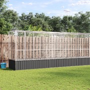 Aviary with Extension Steel