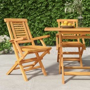 Teakwood Foldable Duo: 2-Piece Garden Chair Set