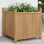 Planter Bamboo