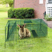 Humane Live Animal Trap Possum Rat Rabbit Hare Catcher Folding Cage