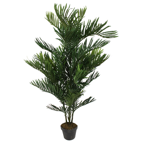 Fern Palm Plant 140cm 