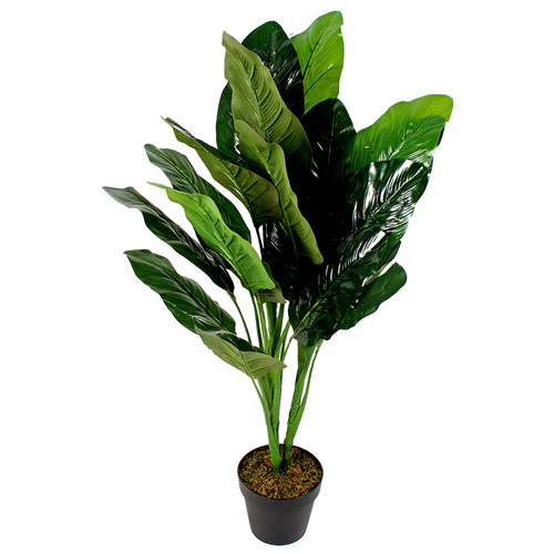 Philodendron Plant 92cm 