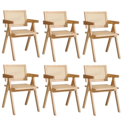 6x Dining Chairs Rattan Chair Wooden Accent Chair Natural