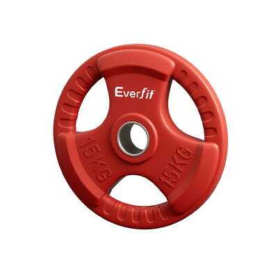 Weight Plates Standard 15kg Dumbbell Barbell Plate Weight Lifting Gym