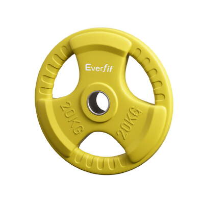 Weight Plates Standard 20kg Dumbbell Barbell Plate Weight Lifting Home