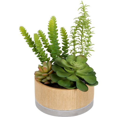 Sensi Succulents Hex Pot 16cm