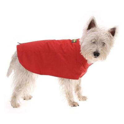 Burnt Red Dog Coat Size 60cm 