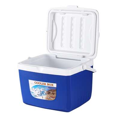 13L Portable Ice Cooler Box Camping Fridge