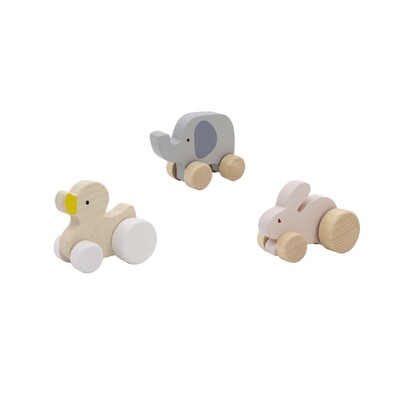 Wooden Animal Car Set Of 3