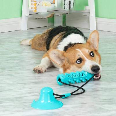 Dog Silicone Chew Toys With Suction Cup 