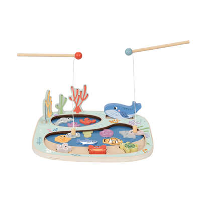 Rockpool Fishing & Balance Game 