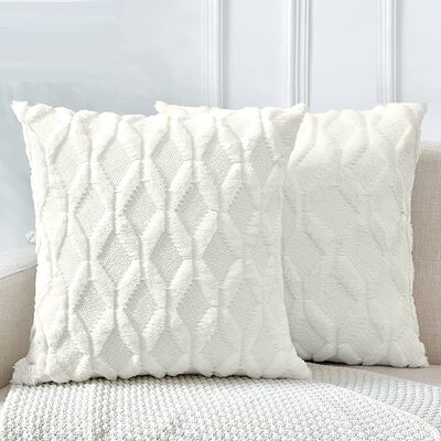 2 Pack Decorative Boho Throw Pillow Covers 45 X 45 Cm (White)