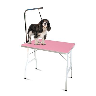 Pet Grooming Table 90Cm Single Pole (Pink)