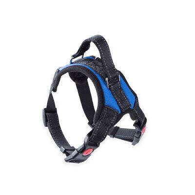 Dog Harness M Size (Blue)