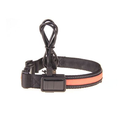 Solar Usb Rechargable Led Dog Collar (L Orange)