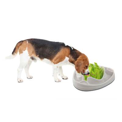 Pet's Interactive Dog Slow Feeder Bowl - Anti-Gulp Maze Puzzle for Healthy Eating Habits