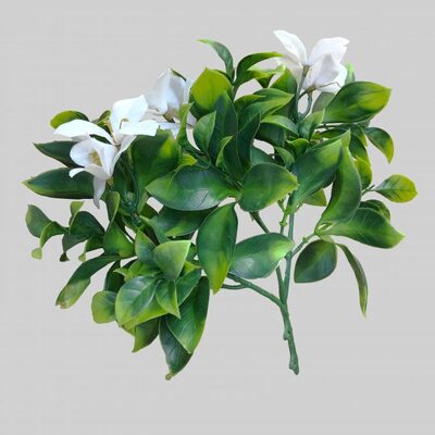 White Flowering Stem Uv Resistant 30Cm