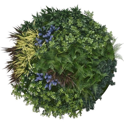 UV Lavender Fields Green Wall Disc (Black) 100cm 