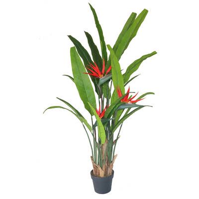 Birds of Paradise Plant 130 cm