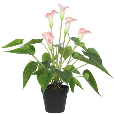 Artificial White & Pink Peace Lily 50cm