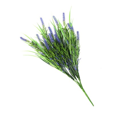 Long Stem Purple Lavender Plant 50Cm Uv Resistant