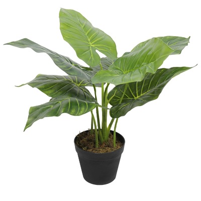 Artificial Potted Taro Plant / Elephant Ear 55Cm