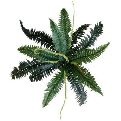 Artificial Dark Green Boston Fern 60Cm