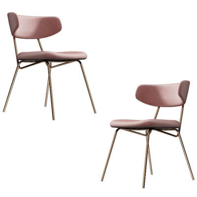 Modern Blush Dining Chair with Gold Legs Set of 2